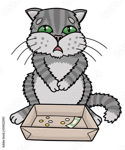 Sad gray cat begging. He collects money in a box.