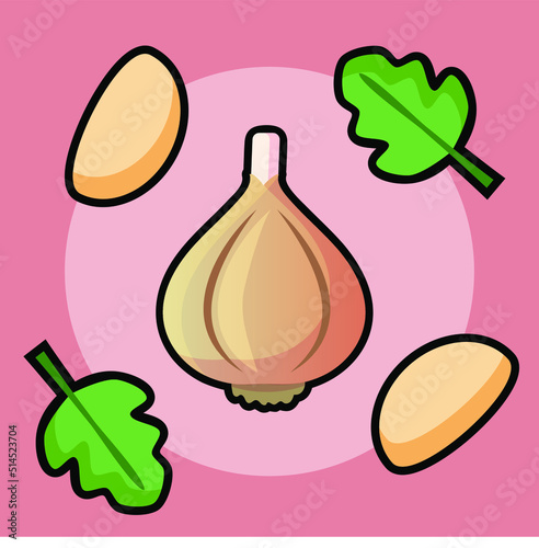 Ajos y cebollas ingredientes de cocina Ilustración vectorial