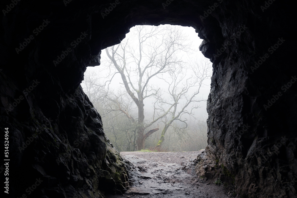 Looking out of a cave entrance onto a misty winters day. Malvern Hills. UK.