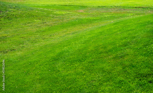 Golf grassland in kakheti, Georgia