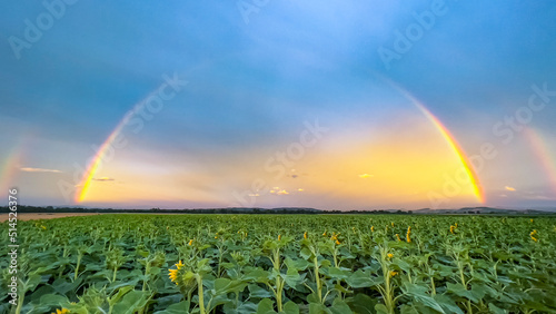 Rainbow and Nature photo