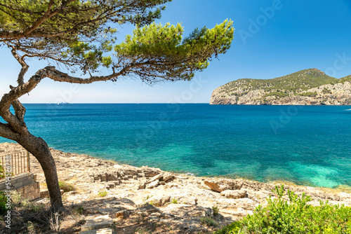 Rocky coast with pine tree at emerald Mediterranean sea - 1094 © Wolfgang Jargstorff