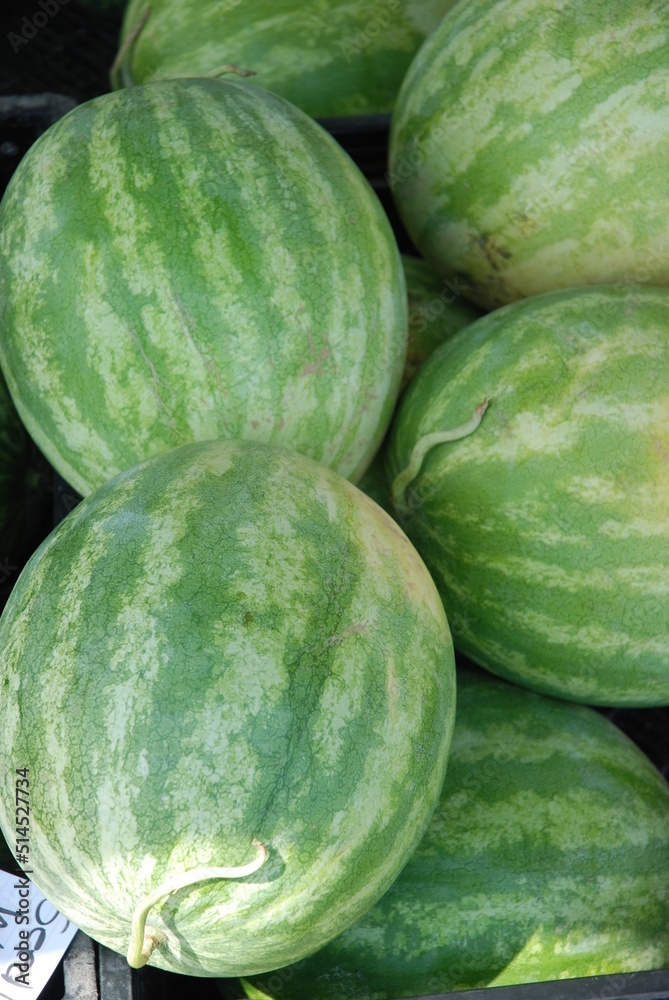 Pile of watermelon Pile of watermelon