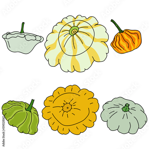 Squash set, useful multi-colored vegetables of a round shape