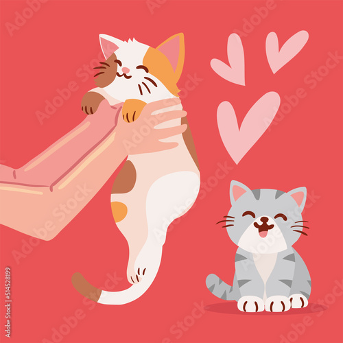 hands carrying a cat