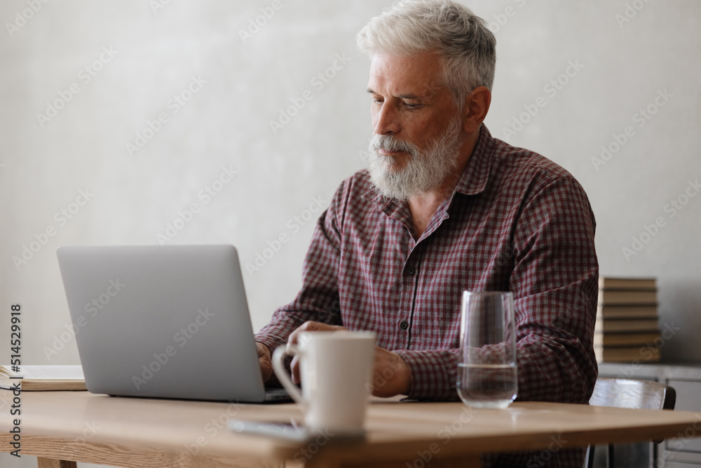 adult business man with gray hair is working at a laptop in his office. career finance and marketing, senior executive lawyer or financier in the company. a successful director is working or resting adult business man with gray hair is working at a laptop in his office. career finance and marketing, senior executive lawyer or financier in the company. a successful director is working or resting
