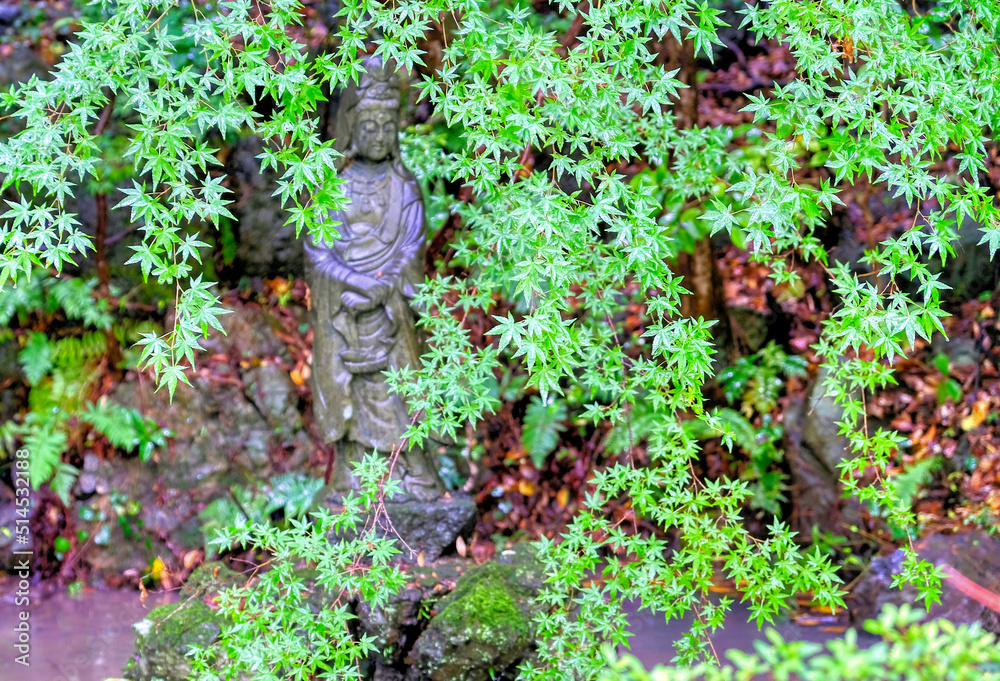 Obraz premium 京都、勝持寺の魚籃観音