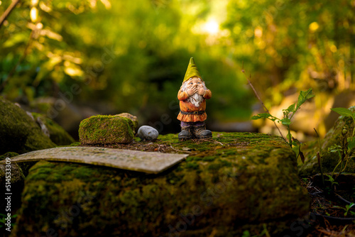 Tableau sur toile Gnomo de jardín