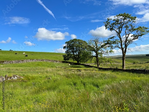 climate, Change, Yorkshire dales, agriculture, background, blue, clouds, countryside, deserted, farm, field, grass, green, hut, landscape, meadow, natural, nature, outdoor, outdoors, ruin, rural, sky,