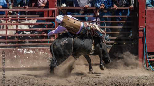 A cowboy is riding a bull at the rodeo. He is lying on his side across the bull. They have just come out of the chute.
