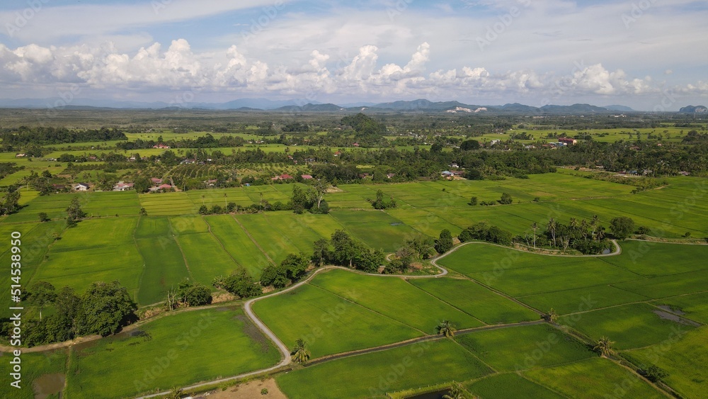 The Limestone Keteri Hill and The Surrounding Rice Paddy Fields