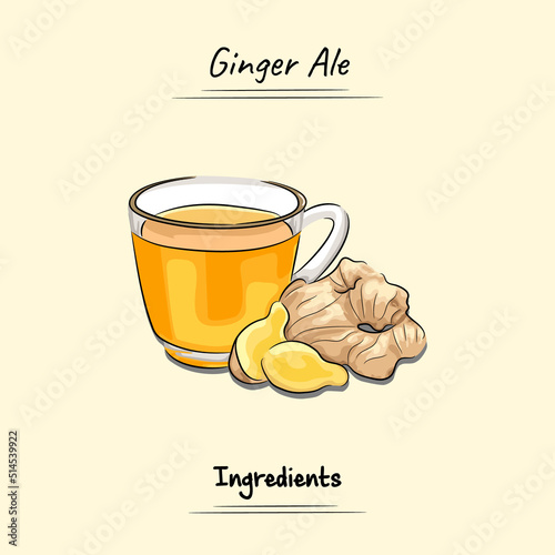 Ginger Ale Illustration Sketch And Vector Style. Good to use for restaurant menu, Food recipe book and food ingredients content.