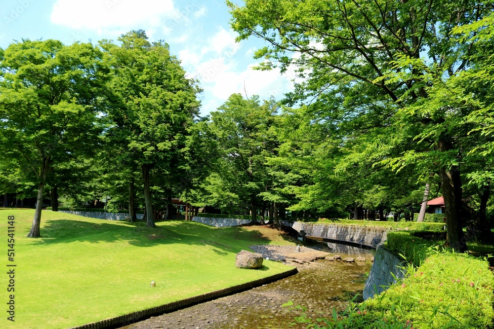 爽やかな青空と新緑 気持ち良い穏やかな風景 ネーブルパーク 爽やかな青空と新緑 気持ち良い穏やかな風景 ネーブルパーク