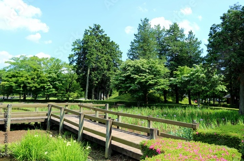 新緑が爽やかな公園 癒しの散策 風景 