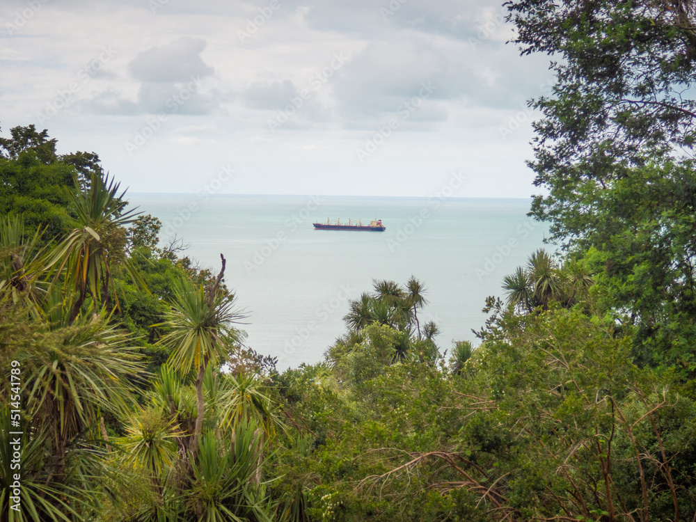 Barge on the sea. View of the sea among the trees. Merchant ship on the Black Sea.