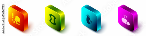 Set Isometric No chicken leg, Leather, Eggplant and Apple icon. Vector