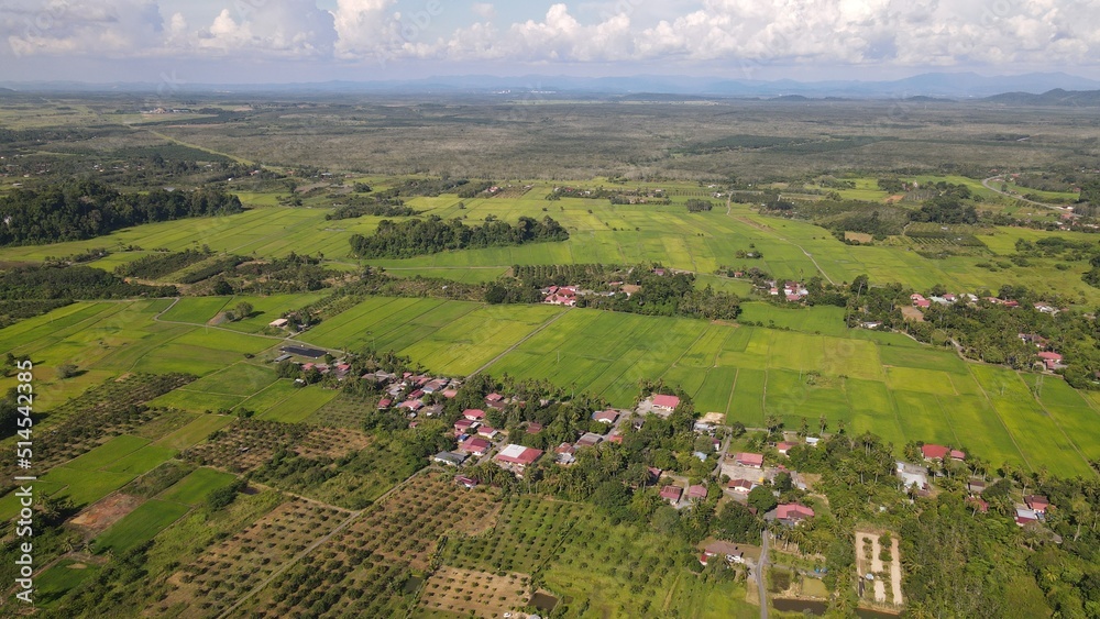 The Limestone Keteri Hill and The Surrounding Rice Paddy Fields