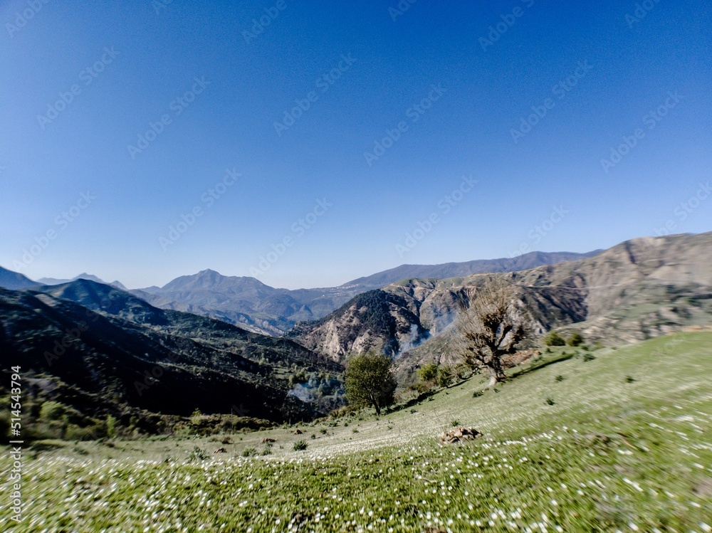 Fototapeta premium Mountain landscape 