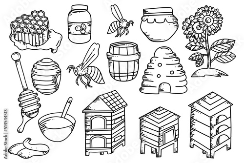 bee and honey doodle sketch hand drawn illustration