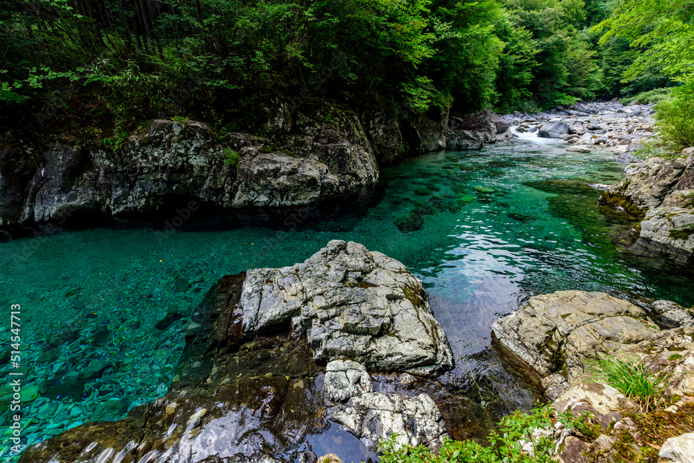 深いところは5メートルもある川に自然の飛び込み台ができています
There is a natural diving platform in the river, which is 5 meters deep. 深いところは5メートルもある川に自然の飛び込み台ができています
There is a natural diving platform in the river, which is 5 meters deep.