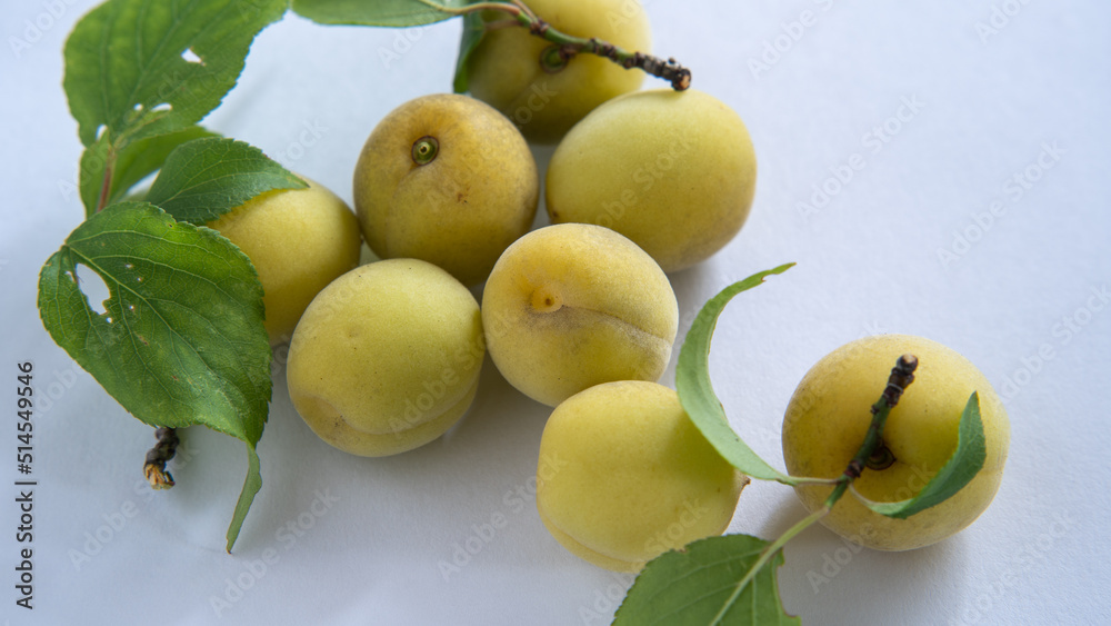梅の実・a Japanese apricot fruit