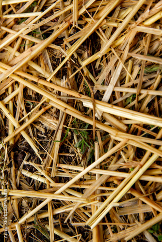 close up of the texture of hay