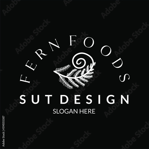 pine branch or fern logo vector in hand drawn botanical style