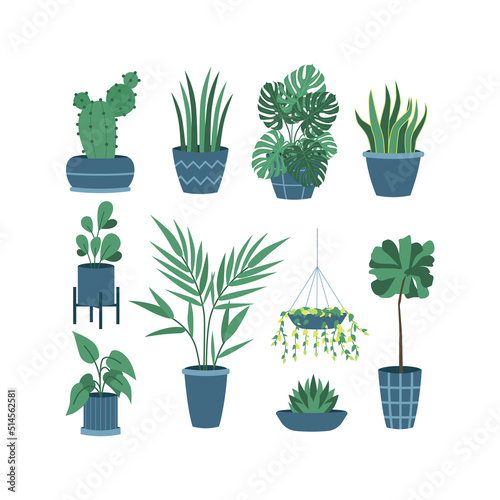Tropical d plant indoor garden office or room decoration houseplant