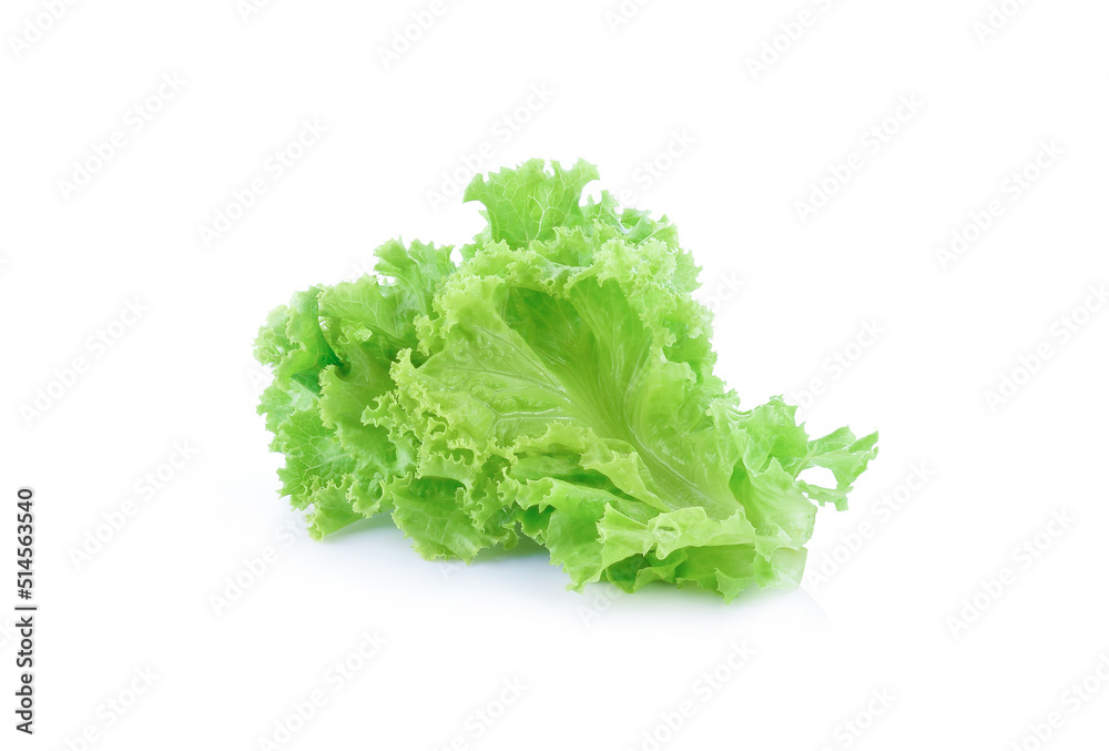 lettuce salad leaves isolated on white background lettuce salad leaves isolated on white background