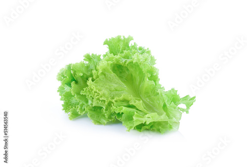 lettuce salad leaves isolated on white background