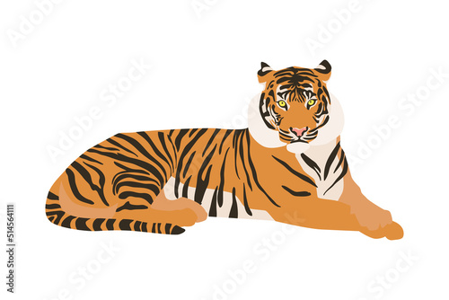 Tiger animal laying in full grouth, flat style vector illustration
