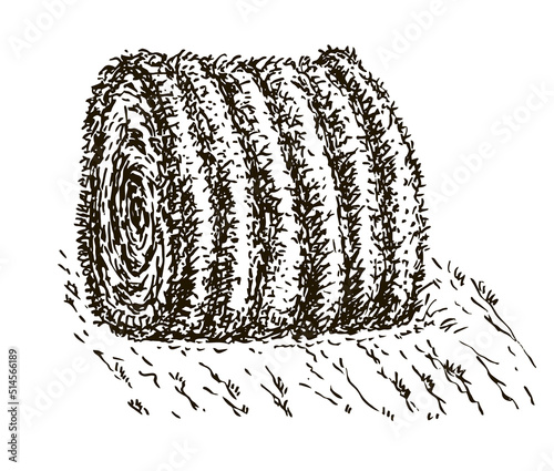 Rolled hay vector icon. Stack of dry field grass. Sketch Round straw bale, natural farm cattle feed, biofuel. Haystacks. Farming, agriculture, countryside concept. Rolled haycock for livestock animal.