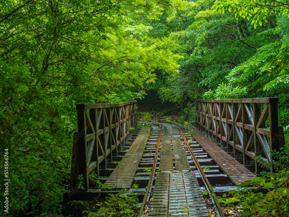 Obraz premium トロッコ道_02