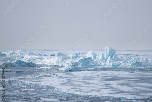 iceberg in polar regions