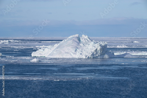 iceberg in polar regions