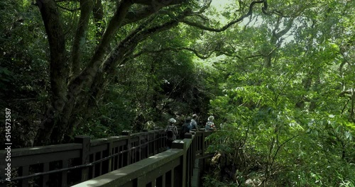 People walk on a clean and cool boardwalk in the forest photo