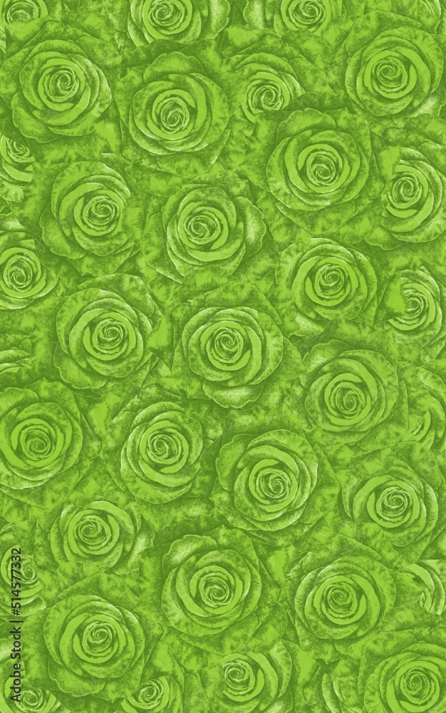 Fototapeta premium Green roses background 