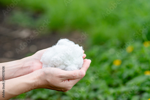 Hands holding polyester staple fiber with blur green grass background