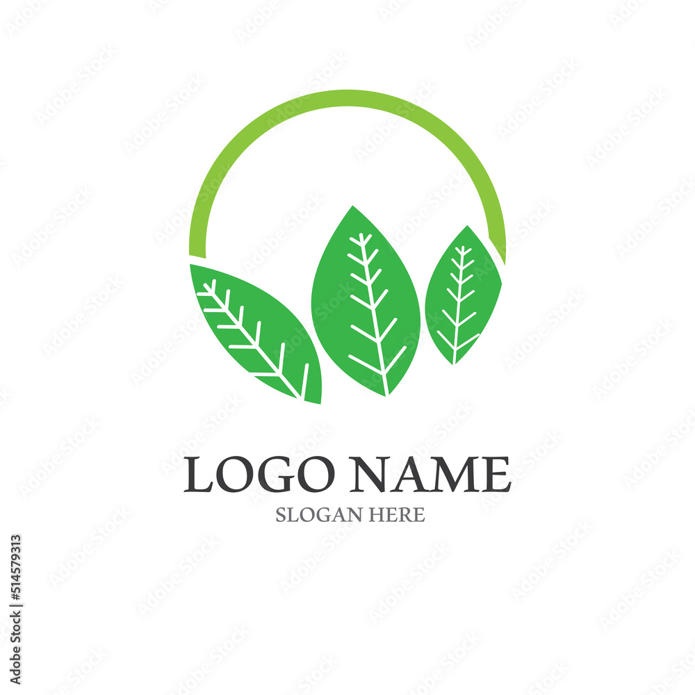 Natural green leaf logo. With an illustration logo design in a modern style. A logo for health and care.