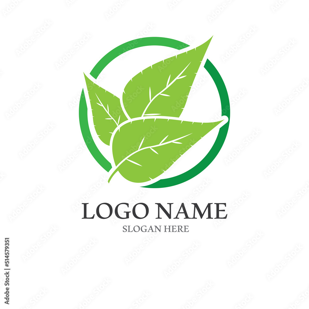 Natural green leaf logo. With an illustration logo design in a modern style. A logo for health and care. Natural green leaf logo. With an illustration logo design in a modern style. A logo for health and care.