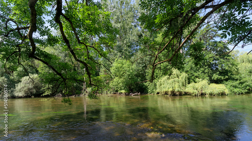 Loing river in the plain of Sorques. Ile-de-France region