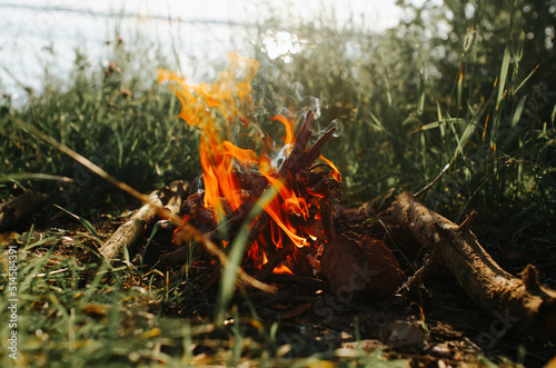 Bonfire in nature, red flame burning firewood in forest outdoors, close-up © Sergio