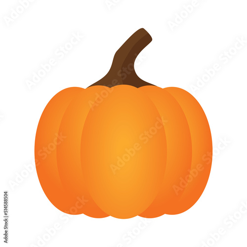 Orange pumpkin vector illustration. Autumn halloween pumpkin, vegetable graphic icon or print, isolated on white background.