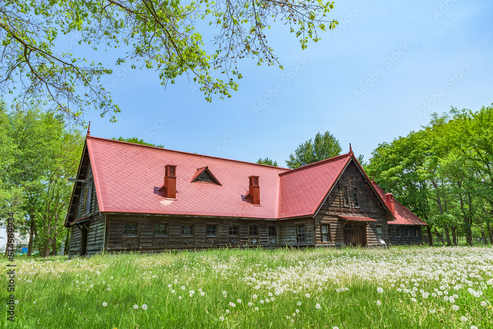 Obraz premium Sapporo Agricultural College Dairy Farm, one of Important Cultural Properties of Japan, in Sapporo City, Hokkaido, Japan..