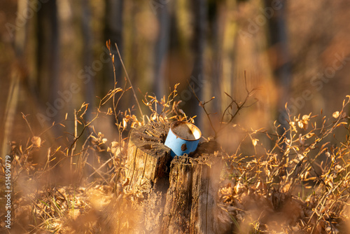 Old metal cup forgotten in the forest photo