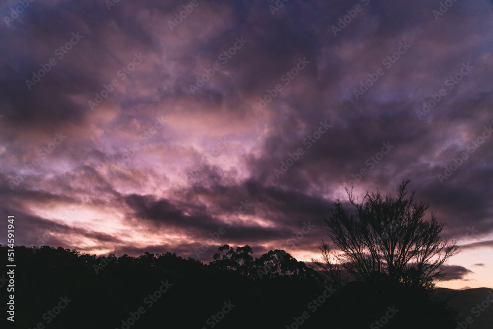 wide angle view of purple sunset over the mountains with trees silhouettes