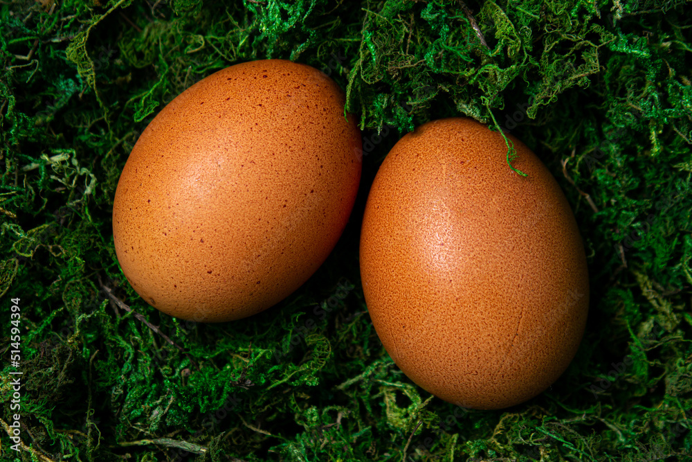 Brown chicken eggs on green grass. Live nature. Brown chicken eggs on green grass. Live nature.