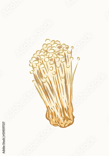 Yellow golden simple cute enoki mushroom in flat vector illustration art design