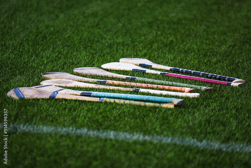 A bunch of camogie ash hurleys lie in the grass - obrazy, fototapety, plakaty 