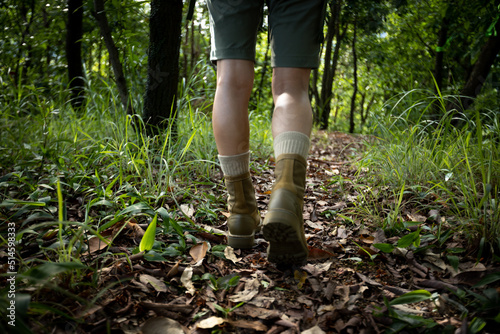Woman hiker hiking on forest trail